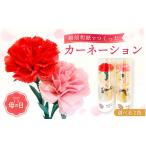 伝統技術 母の日 カーネーション 花 越前和紙