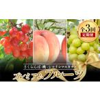 ふるさと納税 果物類 さくらんぼ 山形県 - 《先行予約 2026年6月上旬発送開始 定期便》プレミアムフルーツ（さくらんぼ 桃 シャインマスカット） FSY-2366