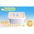 ふるさと納税 菓子 アイス 宮城県 白石市 業務用サイズ フロム蔵王 バニラアイスクリーム(リッチミルク)4000ml 01120
