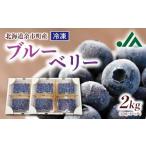 果物類 冷凍ブルーベリー 250g×4パック×2箱