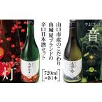 日本酒 純米吟醸酒 D059 やまぐちの風景シリーズ2本セット