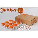果物類 柿 輝太郎柿 3kg