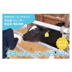 イベントやチケット等 先着 1名