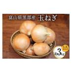 ふるさと納税 野菜類 玉ねぎ 富山県 黒部市 No.5313-0175 玉ねぎ 1箱 約3kg(L大サイズ)/くろべの太陽/富山県 黒部市