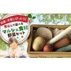 玩具 おもちゃ マルシェ食材 野菜セット 木製