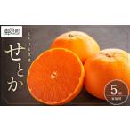 ショッピングせとか ふるさと納税 果物類 みかん 三重県 御浜町  2026年発送 先行予約品 ミカファームのせとか5キロ 数量限定 果物 フルーツ みかん せとか デザート 5kg 三重県 …
