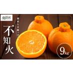 果物類 みかん 2027年発送 品 濃密な甘酸っぱさ