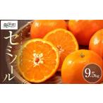 果物類 みかん 2027年発送 品 ジューシーさダントツ