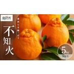 ふるさと納税 果物類 みかん 三重県 御浜町  3月中旬より発送予定 濃密な甘酸っぱさ ミカファームの不知火5キロ(家庭用） 数量限定 果物 フルーツ みかん 不知…