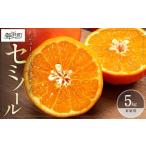 ふるさと納税 果物類 みかん 三重県 御浜町  4月下旬より発送予定 ジューシーさダントツ ミカファームのセミノール5キロ(家庭用) 数量限定 果物 フルーツ みか…