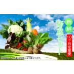 セット 詰合せ 安全 安心 産直直送 季節の野菜詰め合わせ