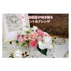 花 苗木 シュガーパイン プリザーブドフラワーアレンジ