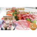 肉 ソーセージ 錦雲豚ソーセージ 絶品生ハム入り