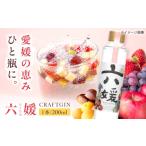 焼酎 クラフトジン 道後ジン六媛 200ml×1本
