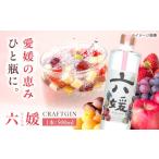 焼酎 クラフトジン 道後ジン六媛 500ml×1本