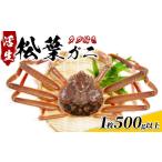 カニ 松葉ガニ 網代産 松葉がに ブランドタグ付き 500g以上