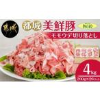 都城美鮮豚切り落とし4kgセット 200g×20パック
