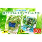 低カリウムレタス&フリルレタス 計20個セット
