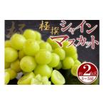 ふるさと納税 ぶどう 香川県 丸亀市  極撰 シャインマスカット 約2kg（3〜5房） マスカット シャインマスカット ぶどう 葡萄 ブドウ フルーツ デザート ケーキ…