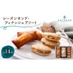 焼菓子 チョコレート フィナンシェ アンテノール
