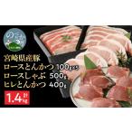 豚肉 ロース 豚ロースとんかつ100g×5ロースしゃぶ500gヒレ…