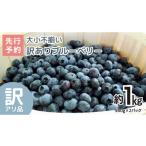 ふるさと納税 茨城県 牛久市 《 先行予約 》【 訳あり 】 ブルーベリー 大小不揃い 約 1kg 【2024年6月下旬頃より発送開始】訳アリ B品 お得 甘い 甘酸っぱい …