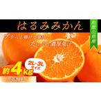 果物類 みかん 青秀以上 紀州有田産 はるみ 約4kg