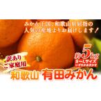 果物類 みかん 訳あり 温州みかん 温州 サイズ混合