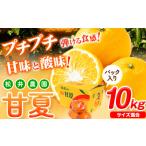果物類 みかん パック入り 甘夏 10kg