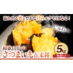野菜類 サツマイモのサツマイモ 在来種 厳選サイズ 5kg