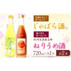 お酒 紀州完熟南高梅 ねりうめ酒 じゃばら酒