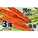 ショッピングふるさと納税 うなぎ ふるさと納税 茨城県 境町 K1804 〈7日以内発送〉【訳あり】さかい河岸水産の国産うなぎ３尾 300g以上！ ※サイズ不揃い 7日以内発送