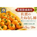 果物類 柿 佐渡産 たねなし柿 島のかき 5kg