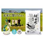 ふるさと納税 米 コシヒカリ 新潟県 佐渡市 米 コシヒカリ 佐渡産 ( 5kg ) 棚田米 佐渡市歌見地区 令和7年米