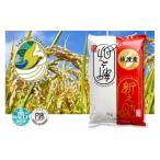 ふるさと納税 米 新潟県 佐渡市 新潟県佐渡市産 新之助 精米 5kg 令和7年米