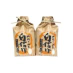 ふるさと納税 米 コシ