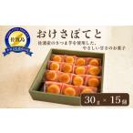 焼菓子 チョコレート 佐渡 おけさぽてと 30g×15個