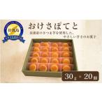 焼菓子 チョコレート 佐渡 おけさぽてと 30g×20個