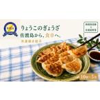 惣菜 レトルト 冷凍 佐渡 りょうこのぎょうざ