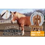 インテリア 蹄鉄 鉄製 シルバー &amp;
