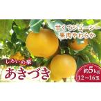 ショッピング梨 ふるさと納税 千葉県 白井市 梨 あきづき 5kg 12〜16玉 千葉県 白井市 しろいの梨 予約受付