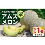 ふるさと納税 メロン メロン青肉 長崎県 壱岐市 先行予約 贈答用 アムスメロン「翠」 特大1個 2026年6月中旬以降順次発送 《壱岐市》 フレッシュメイト壱岐 J…