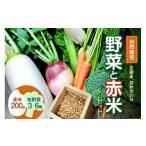 fu.... налог комплект *... Kyoto (столичный округ) дерево Цу река город Kyoto производство овощи . красный рис. комплект 086-01