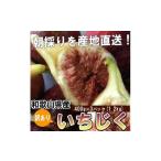 ショッピングふるさと納税 訳あり 不揃い ふるさと納税 和歌山県 和歌山市 和歌山産 【訳あり】 いちじく  (サイズ不揃い、傷あり) 1.2kg(400g×3パック)