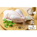 鶏肉 水炊き 訳あり 丸鶏 中抜き 1羽 飛騨地鶏
