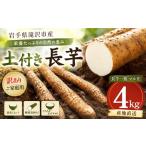 人参 大根 他根菜 2026年 変色しない 訳あり
