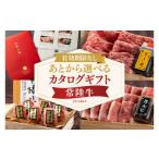 牛肉 ハンバーグ カタログ 肉 常陸牛 イイジマ特選目録