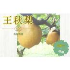 ふるさと納税 梨 鳥取県 若桜町 224-W24. 先行予約 農家さん応援 訳あり 王秋梨 4kg