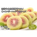 果物類 ぽぽ農園 レインボーレッドキウイ