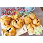 焼菓子 チョコレート アメリカンスコーン4種